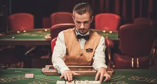 Официальный сайт Casino Cat